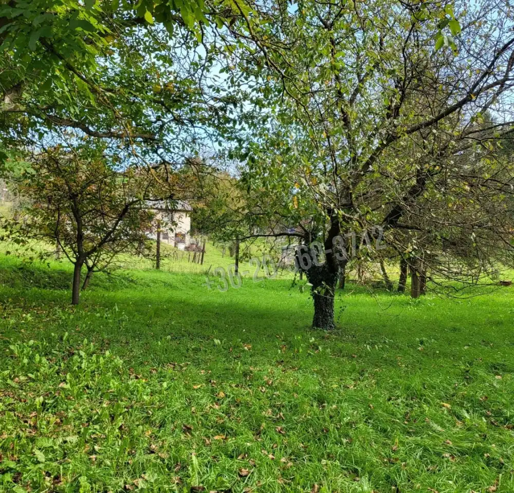 Zala megye - Zalaegerszeg