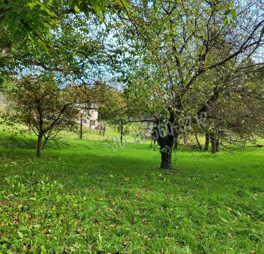 eladó  Építési telek, Zalaegerszeg