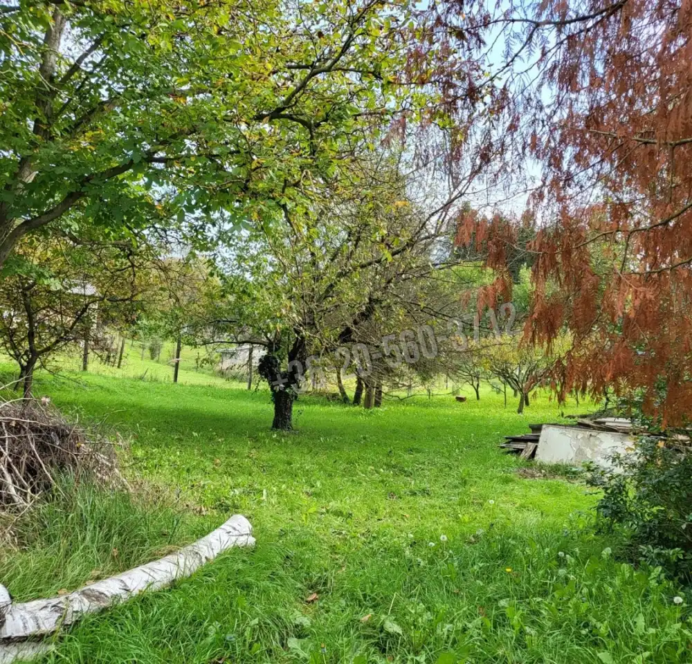 Zala megye - Zalaegerszeg