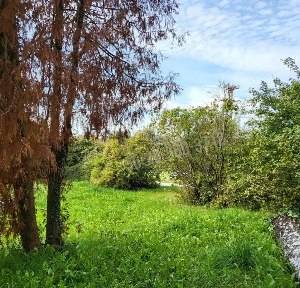 Zala megye - Zalaegerszeg