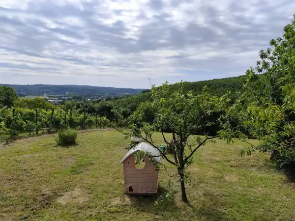 Eladó Építési telek, Zalaegerszeg 3262 m² 18 M Ft