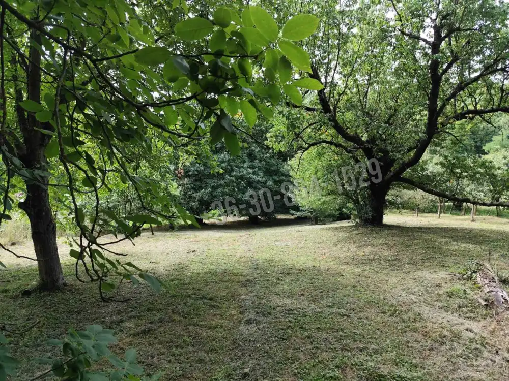 Zala megye - Zalaegerszeg