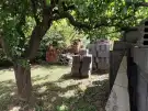 Zala megye - Zalaegerszeg