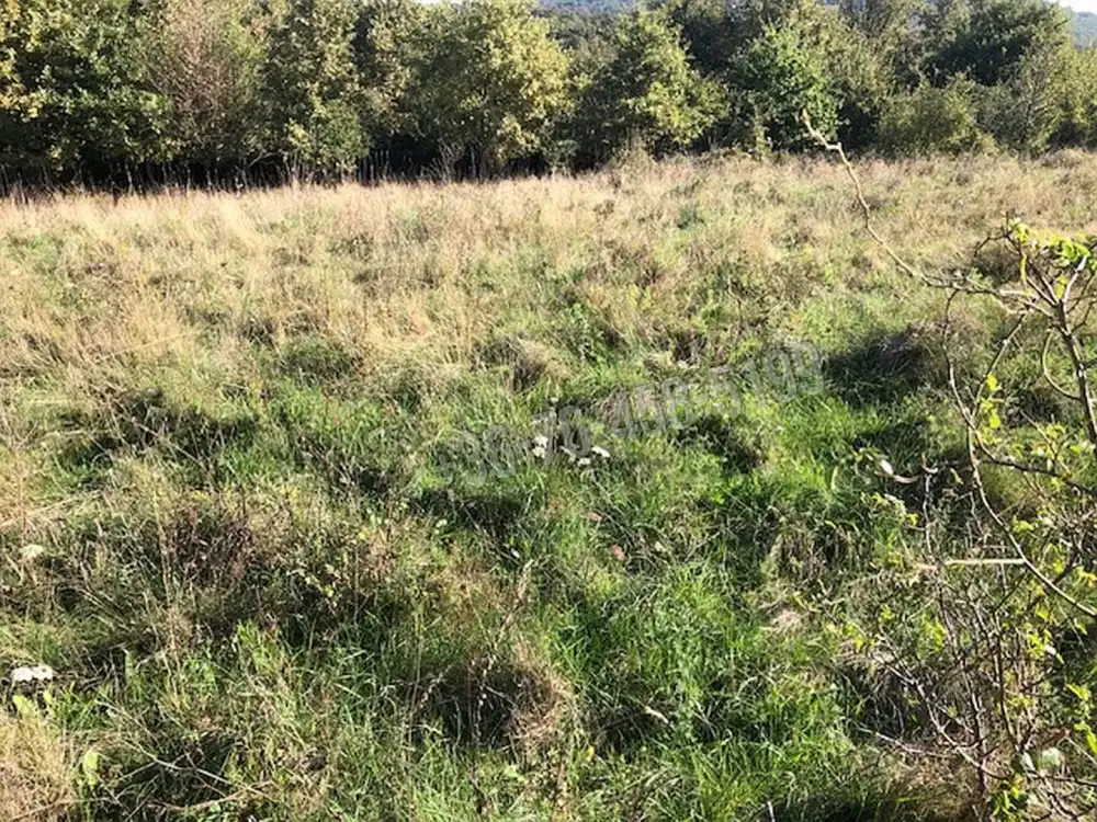 Zala megye - Zalaszántó