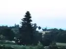 Somogy megye - Zamárdi