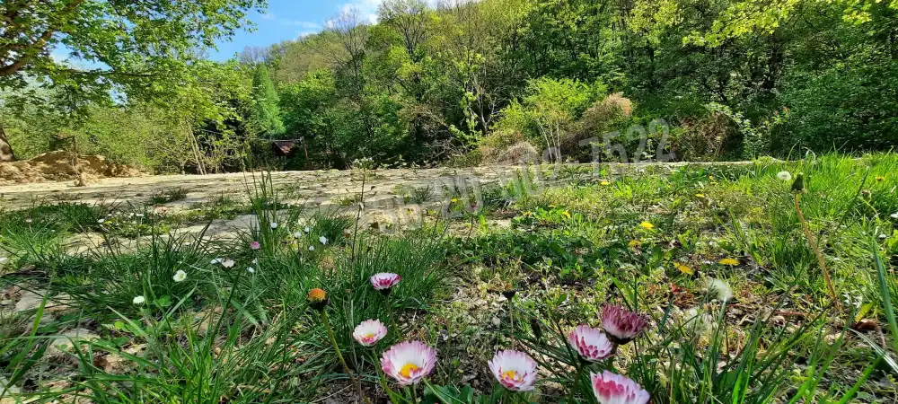 Pest megye - Zebegény