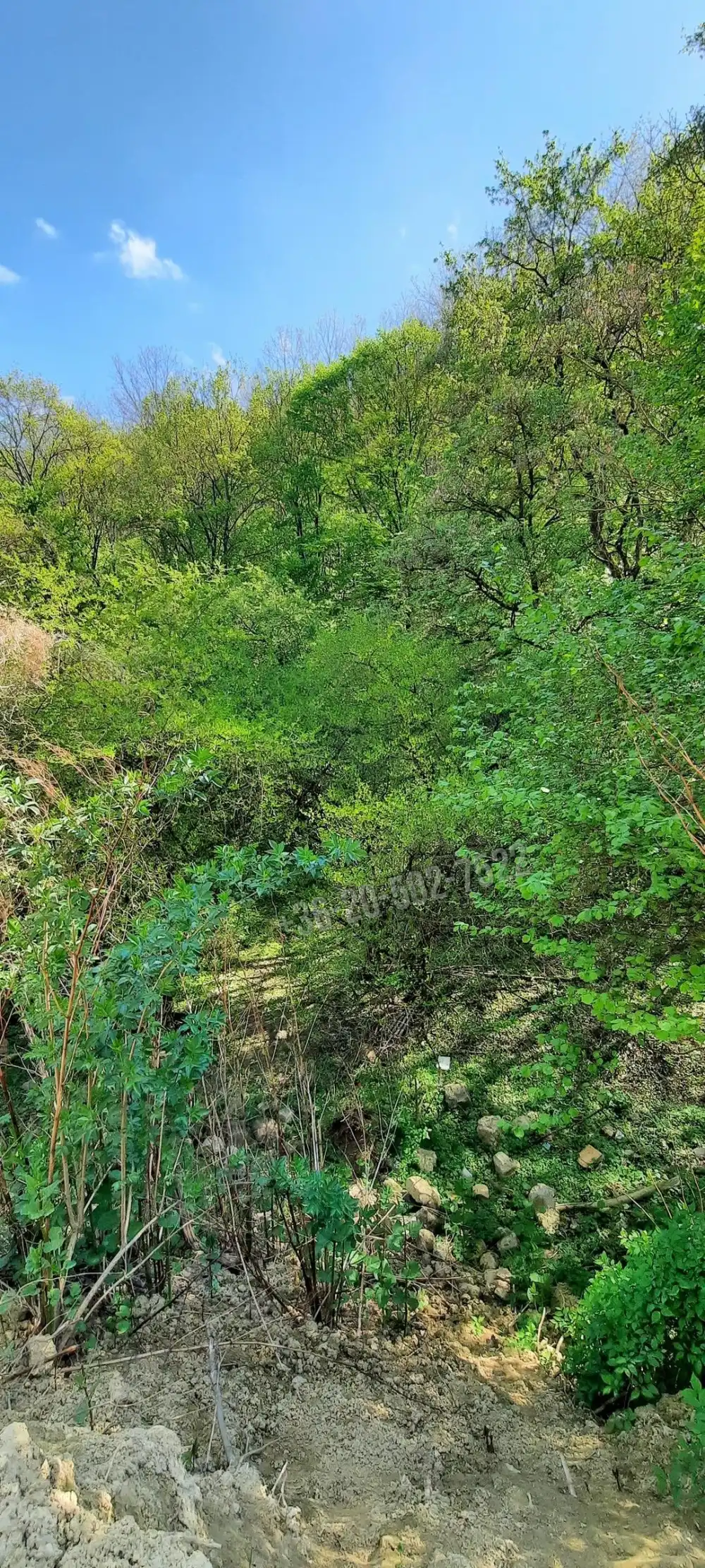 Pest megye - Zebegény