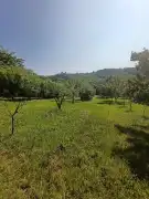 Borsod-Abaúj-Zemplén megye - Zsujta