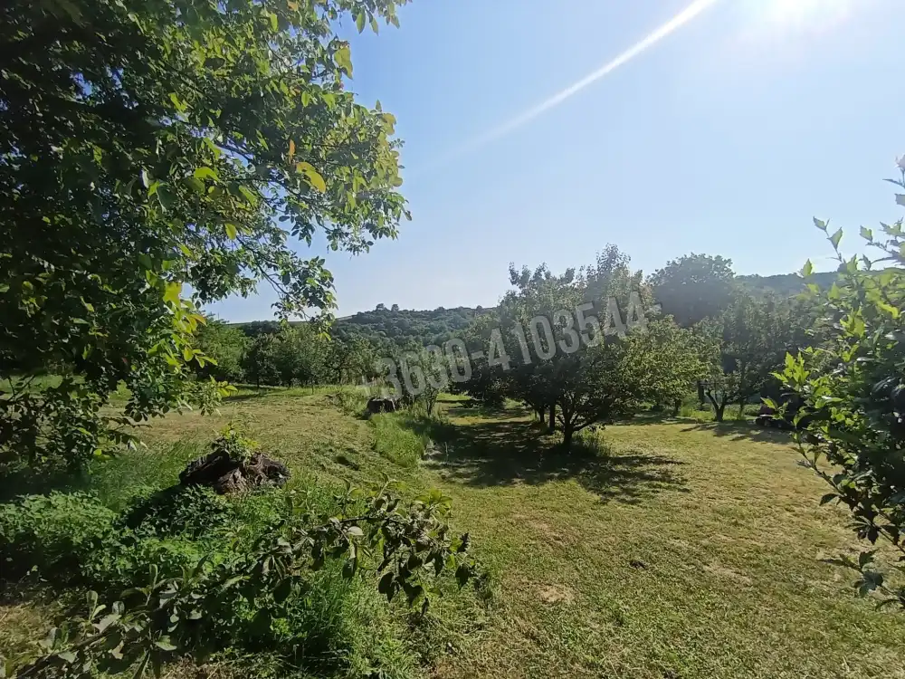 Borsod-Abaúj-Zemplén megye - Zsujta