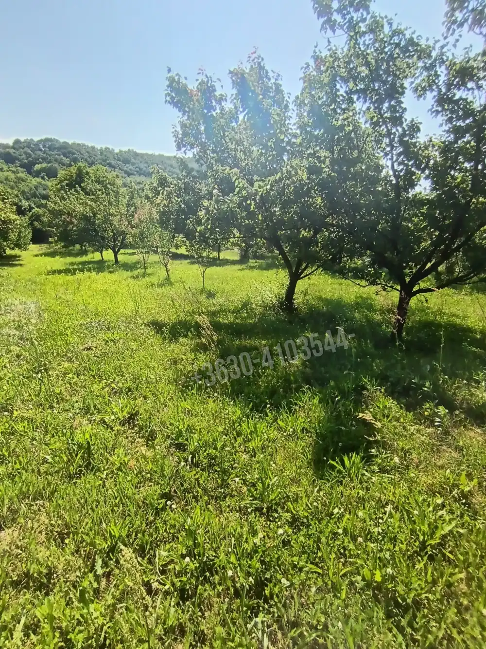 Borsod-Abaúj-Zemplén megye - Zsujta