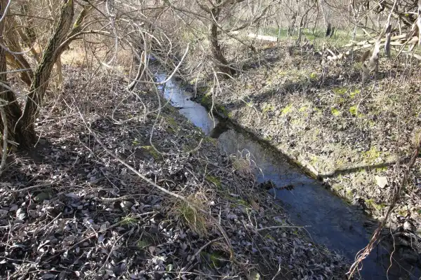Eladó Erdő, Ágfalva 6750 m² 15 M Ft