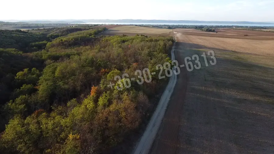 eladó  Erdő, Balatonendréd