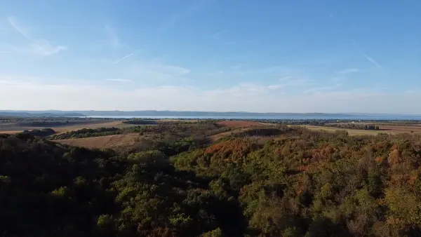 Eladó Erdő, Balatonendréd 8907 m² 9.8 M Ft