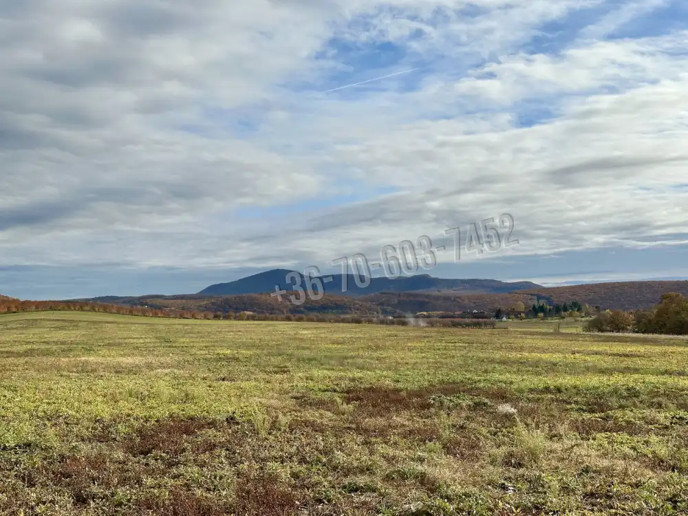 Nógrád megye - Berkenye