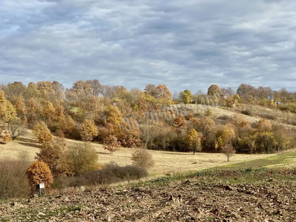 Nógrád megye - Berkenye
