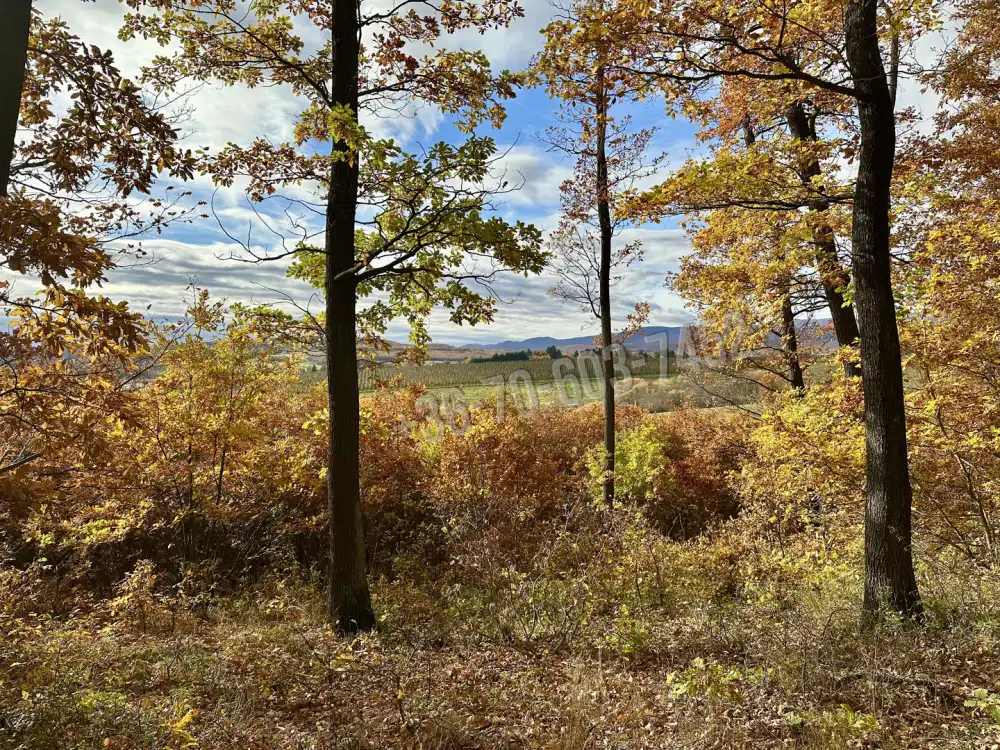 Nógrád megye - Berkenye