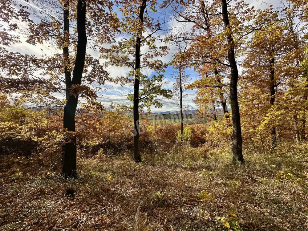Nógrád megye - Berkenye