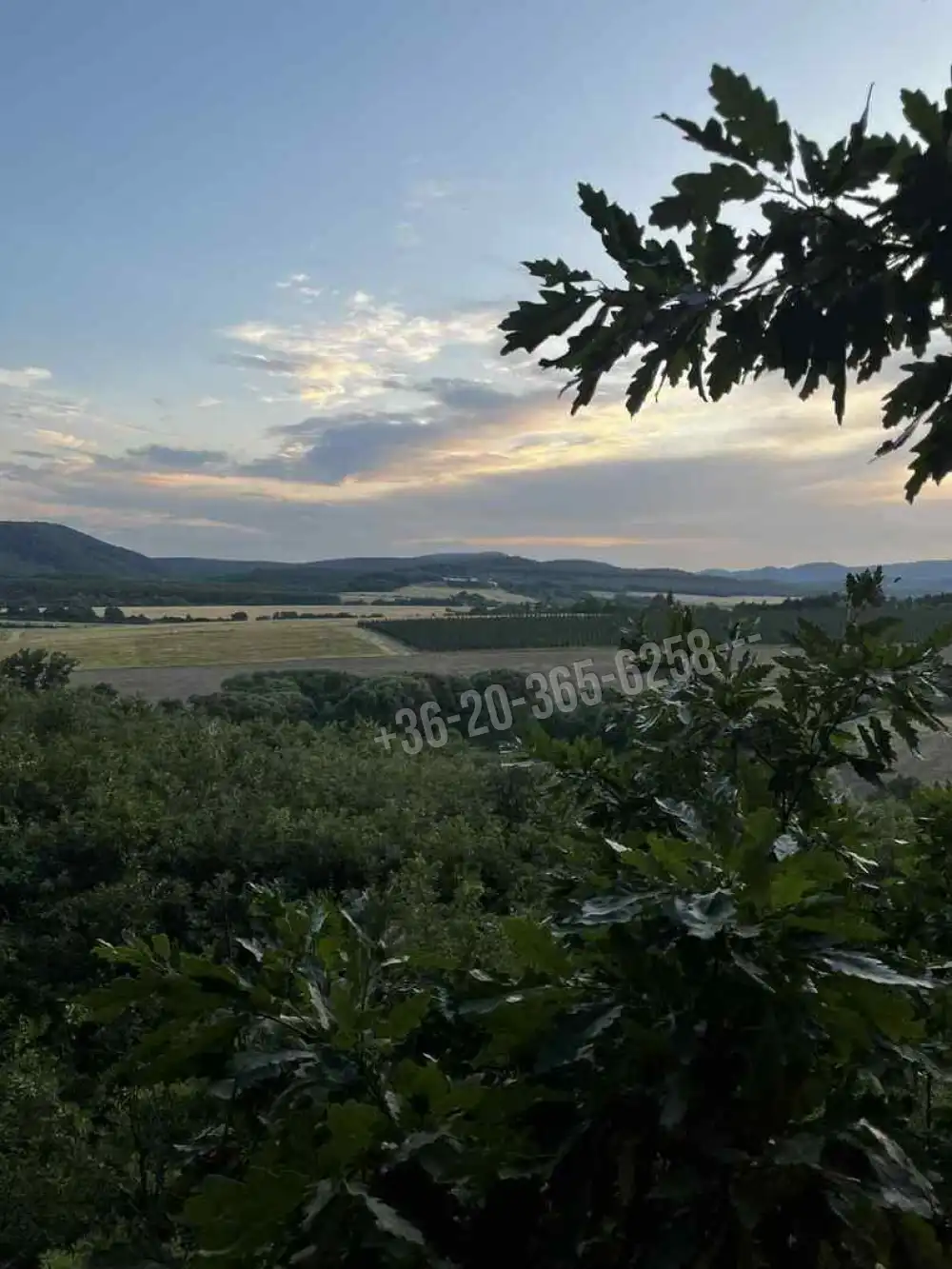 Nógrád megye - Berkenye