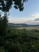 Nógrád megye - Berkenye