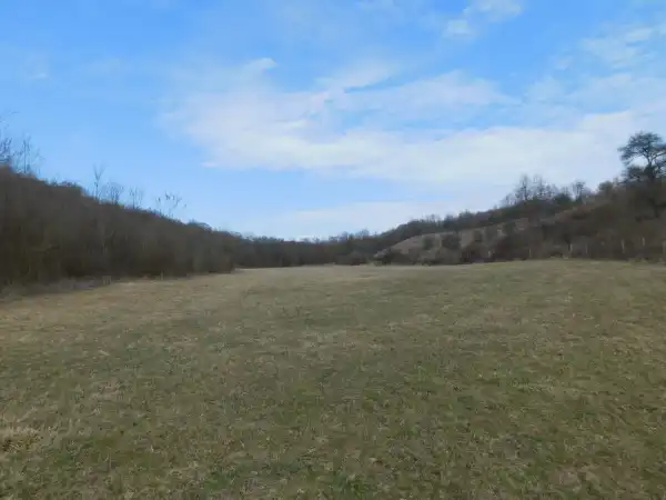 Eladó Erdő, Sirok 69000 m² 14.9 M Ft