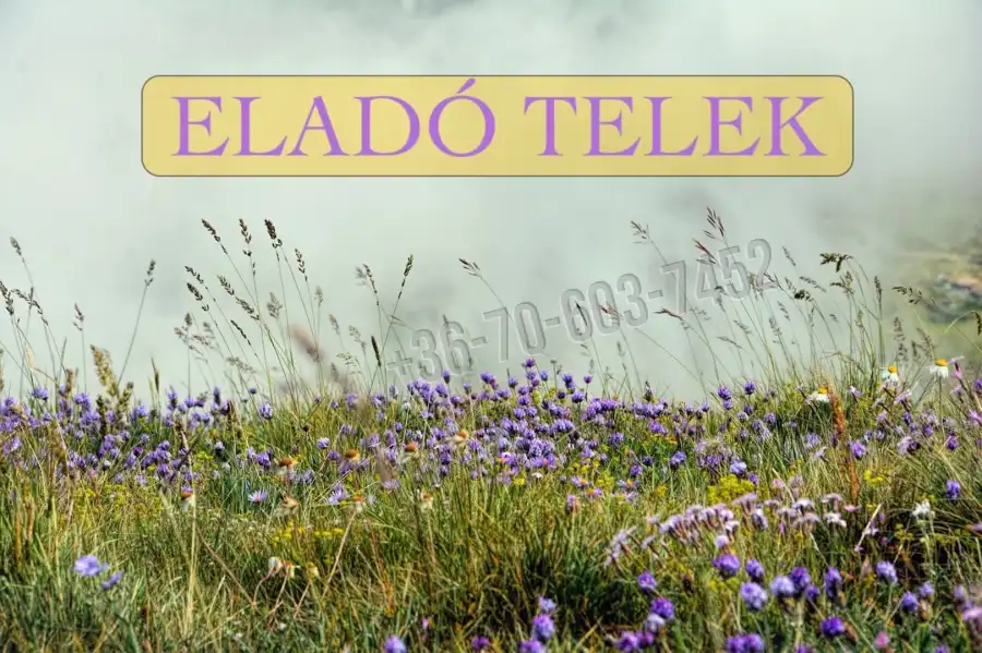 eladó  Erdő, Sződ