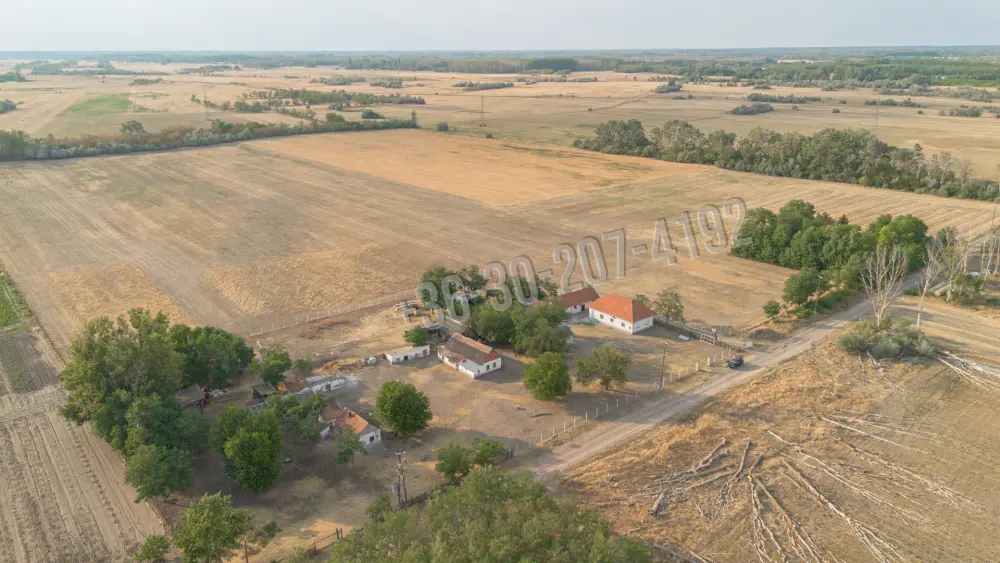 Csongrád megye - Balástya