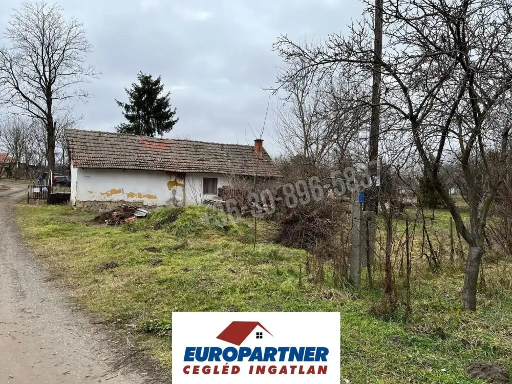 Pest megye - Cegléd