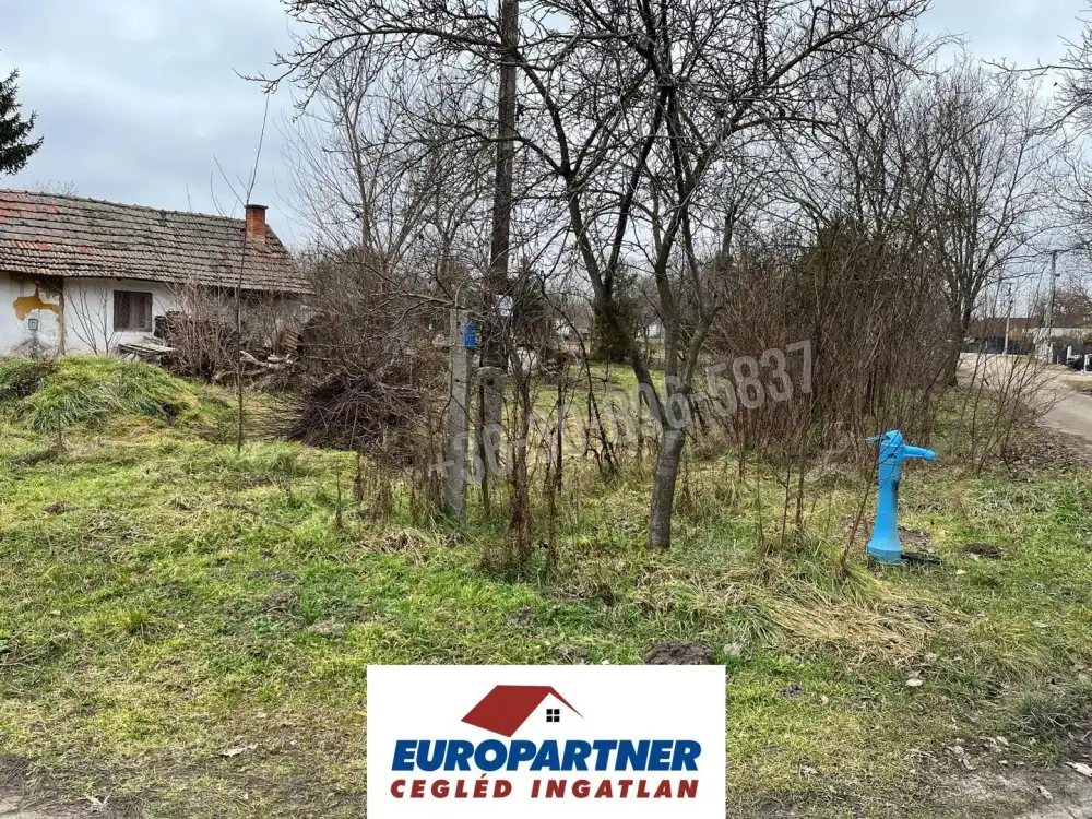 Pest megye - Cegléd