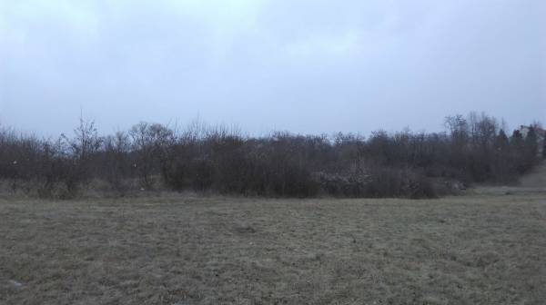eladó  Gyep, Egerszalók