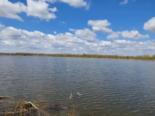 Eladó , Gyula 108274 m² 69.5 M Ft