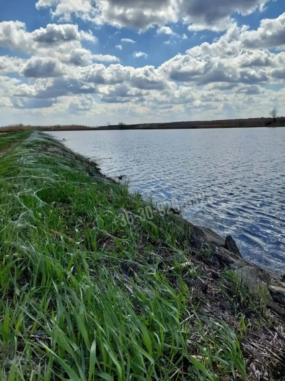 Békés megye - Gyula