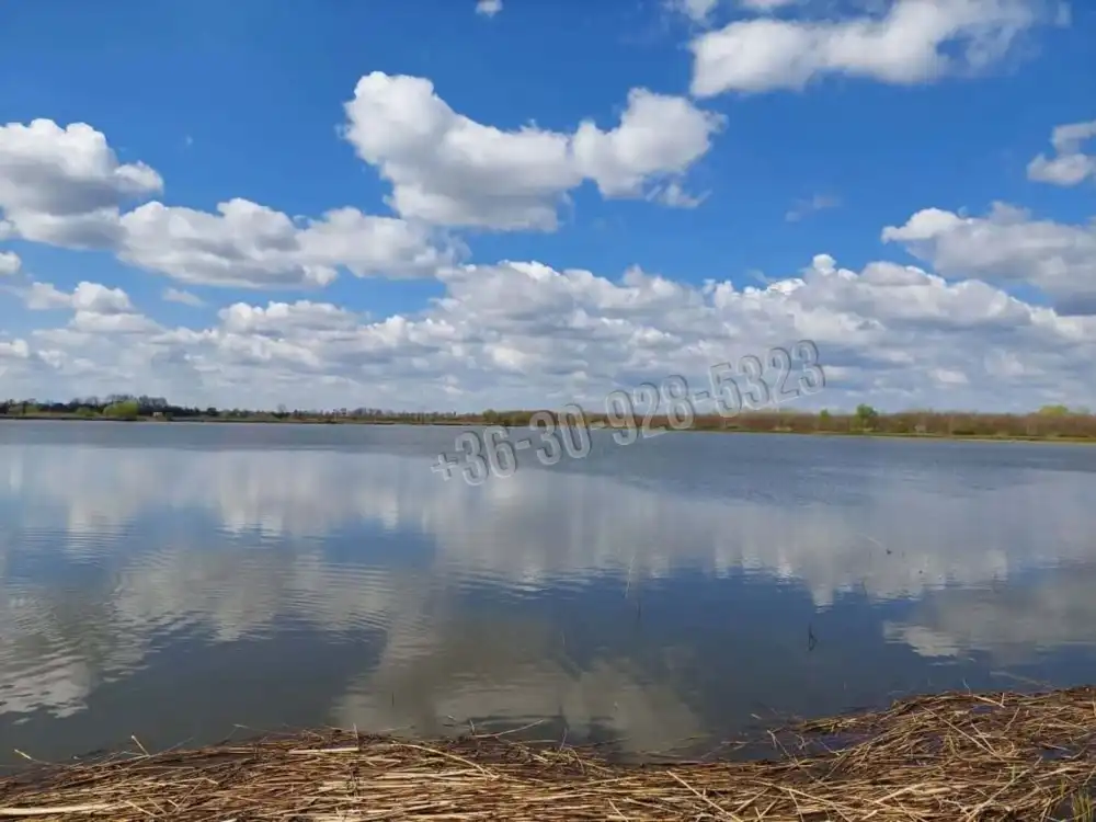 Békés megye - Gyula