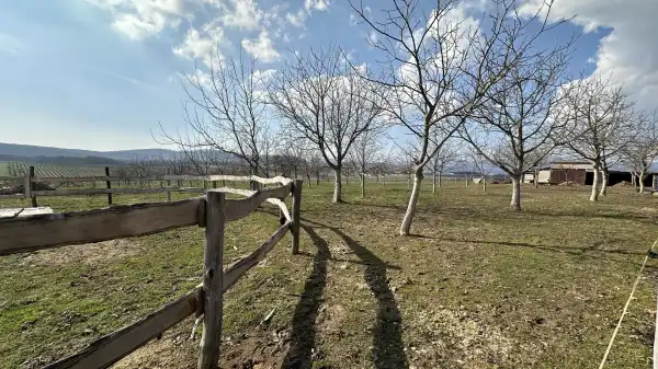 Eladó Gyümölcsös, Berkenye 4598 m² 9.9 M Ft