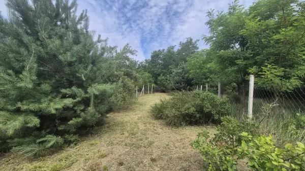 Eladó Gyümölcsös, Hajdúböszörmény-Bodaszőlő 718 m² 3.5 M Ft