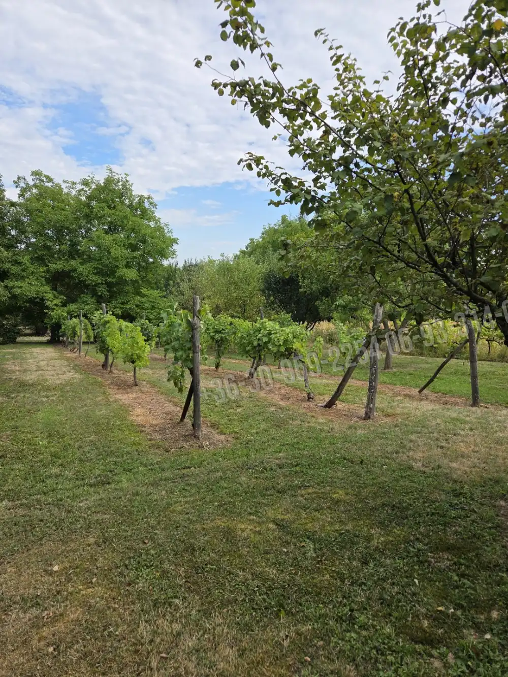 Somogy megye - Iharosberény