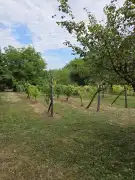 Somogy megye - Iharosberény