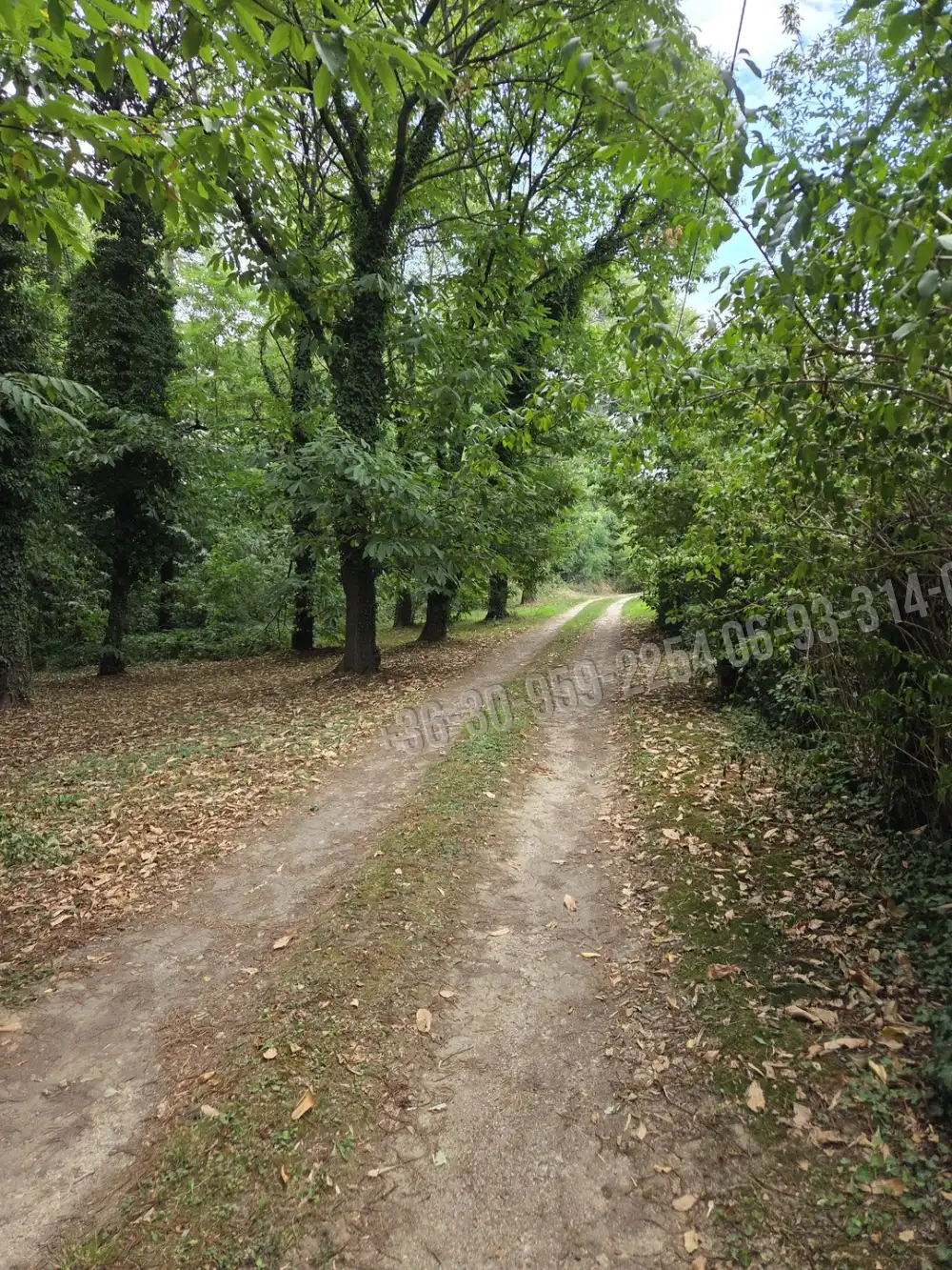 Somogy megye - Iharosberény