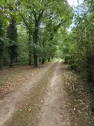 Somogy megye - Iharosberény