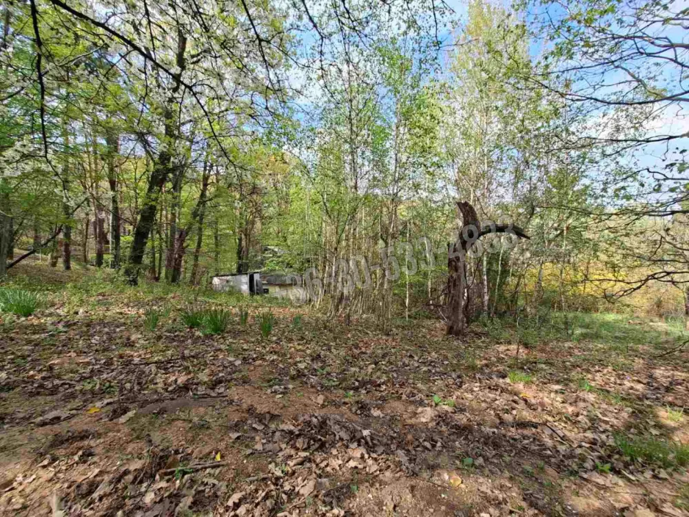 Vas megye - Kőszeg