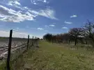 Bács-Kiskun megye - Lajosmizse