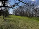 Bács-Kiskun megye - Lajosmizse