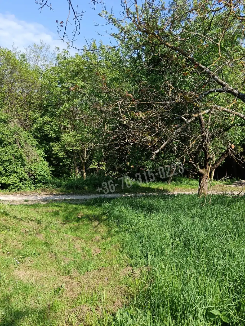 Zala megye - Lovászi