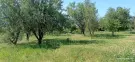Baranya megye - Mohács
