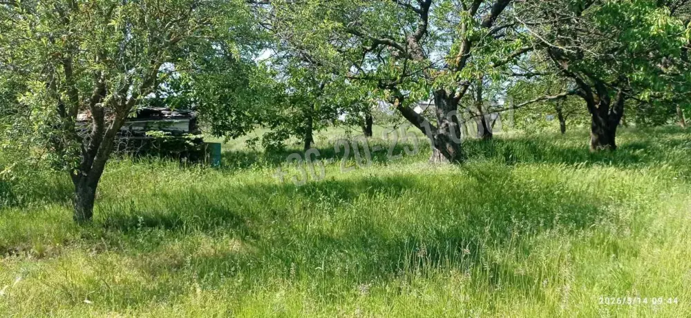 Baranya megye - Mohács
