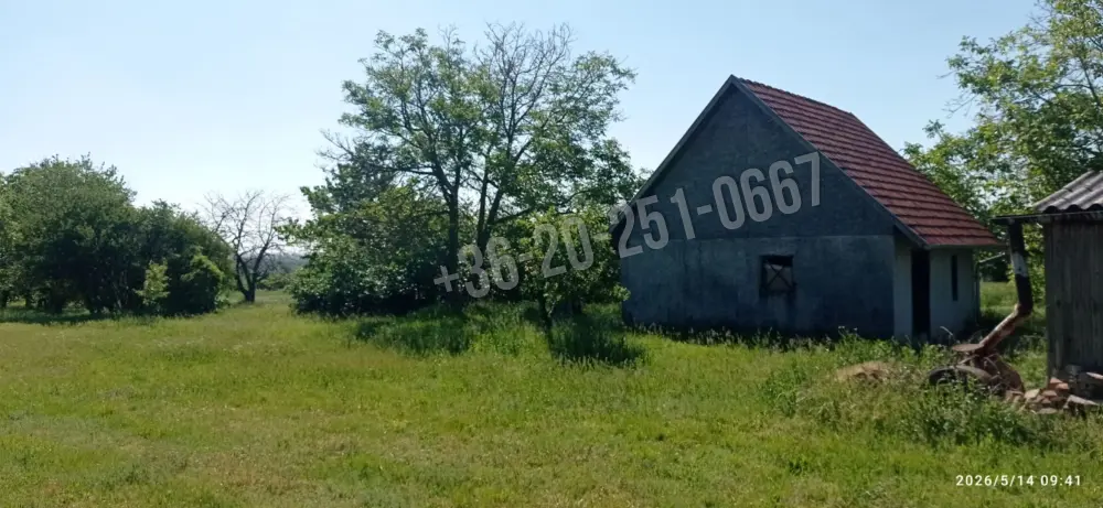Baranya megye - Mohács