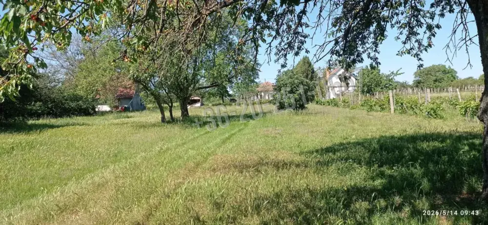Baranya megye - Mohács