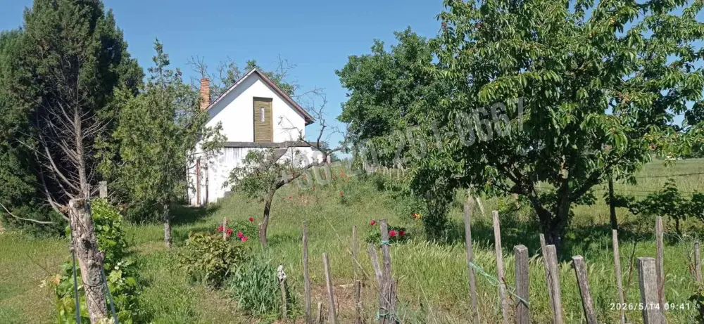 Baranya megye - Mohács