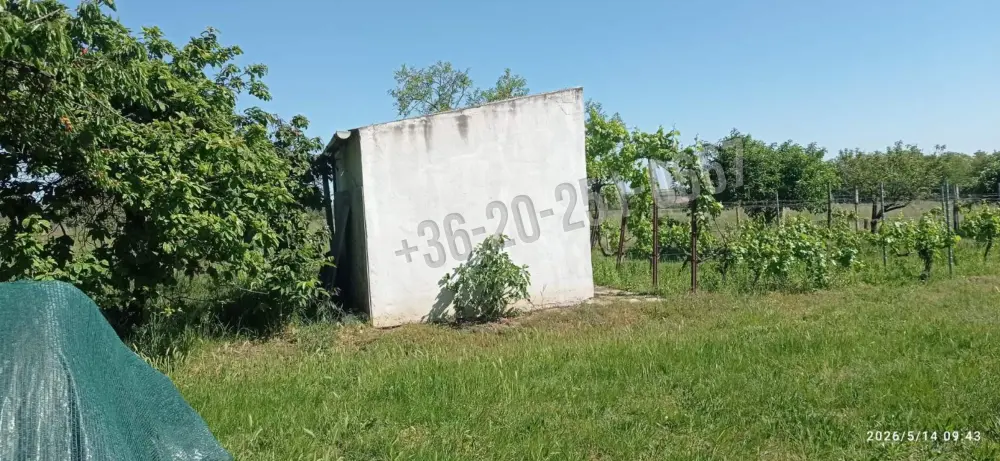 Baranya megye - Mohács