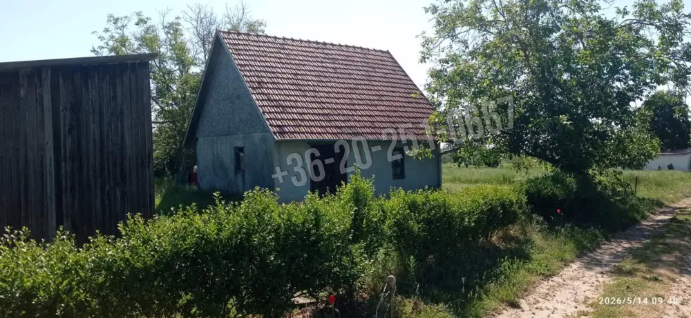 Baranya megye - Mohács