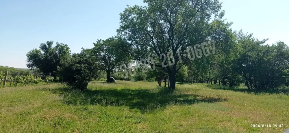Baranya megye - Mohács